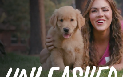 DOGTV Networks targets dog lovers with Unleashed by DOGTV