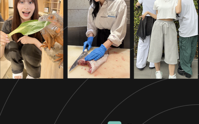 Japan’s Nippon TV launches vertical video division Viral Pocket