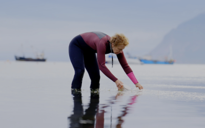 BBC Earth launches climate solutions series on YouTube