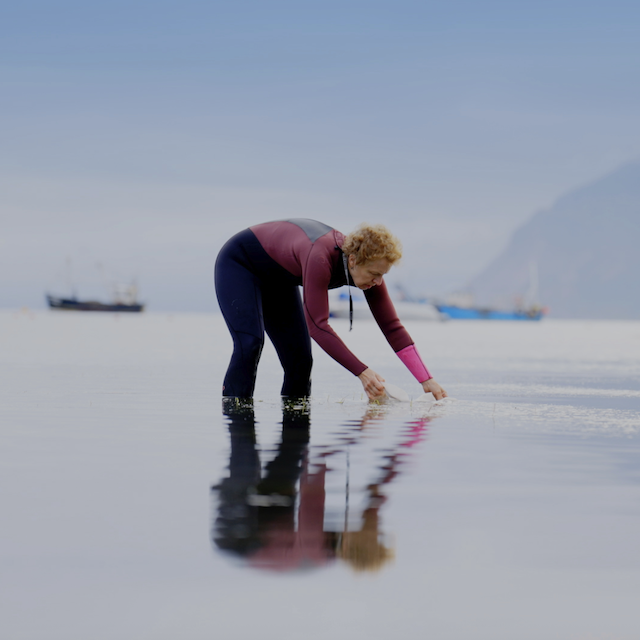 BBC Earth launches climate solutions series on YouTube